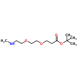 Methylamino-PEG2-Boc结构式
