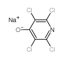 2,3,5,6-四氯-4-吡啶酚钠结构式