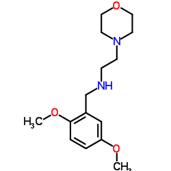 (2,5-DIMETHOXY-BENZYL)-(2-MORPHOLIN-4-YL-ETHYL)-AMINE Structure