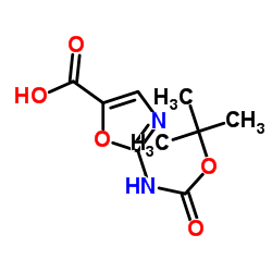 2-叔丁氧羰基氨基恶唑-5-羧酸结构式