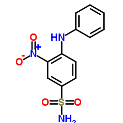 3-硝基-4-(苯氨基)苯磺酰胺结构式