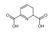 2,3-dihydropyridine-2,6-dicarboxylic acid结构式