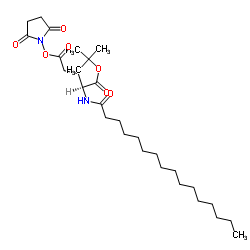 N-棕榈酰-L-谷氨酸1-叔丁基5-(N-琥珀酰亚胺)酯结构式