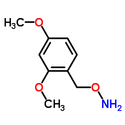 2,4-二甲氧基苄氧胺结构式