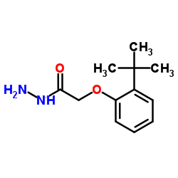 2-[2-(2-Methyl-2-propanyl)phenoxy]acetohydrazide Structure