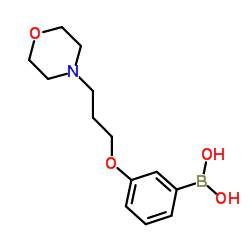 {3-[3-(4-Morpholinyl)propoxy]phenyl}boronic acid Structure