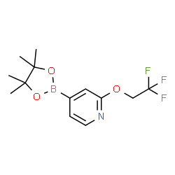 2-三氟乙氧基吡啶-4-吡啶硼酸频哪醇酯结构式