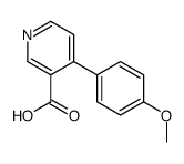 4-(4-methoxyphenyl)pyridine-3-carboxylic acid Structure