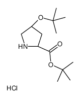 H-Hyp(tBu)-OtBu 盐酸盐结构式