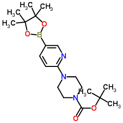6-(4-Boc-1-哌嗪基)吡啶-3-硼酸频哪醇酯结构式