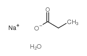 sodium,propanoate,hydrate Structure