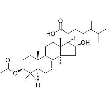 Dehydropachymic acid Structure