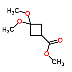 3,3-二甲氧基环丁烷羧酸甲酯结构式