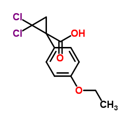 2,2-dichloro-1-(4-ethoxyphenyl)cyclopropane-1-carboxylic acid Structure
