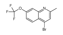 4-Bromo-2-methyl-7-trifluoromethoxyquinoline picture