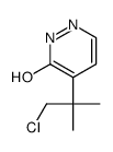 5-(1-chloro-2-methylpropan-2-yl)-1H-pyridazin-6-one结构式