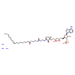 palmitoleoyl Coenzyme A(ammonium salt) Structure