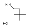 3,3-dimethylcyclobutan-1-amine,hydrochloride Structure