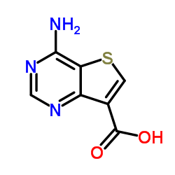4-aminothieno[3,2-d]pyrimidine-7-carboxylic acid structure