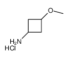 trans-3-Methoxycyclobutanamine hydrochloride Structure