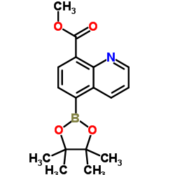 5-(4,4,5,5-四甲基-1,3,2-二氧硼戊烷-2-基)喹啉-8-甲酸甲酯结构式