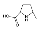 (2S)-5-methylpyrrolidine-2-carboxylic acid结构式