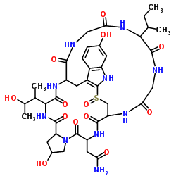 γ-鹅膏毒素结构式