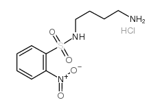 n-(2-nitrobenzenesulfonyl)-1,4-diaminobutane hydrochloride Structure