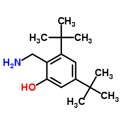 2-(Aminomethyl)-3,5-bis(2-methyl-2-propanyl)phenol Structure
