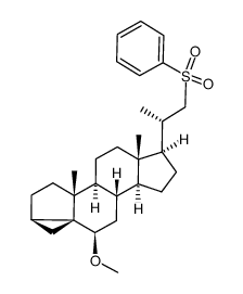 3α,5-cyclo-22-phenylsulfonyl-5α-23,24-bisnorcholan-6β-ol 6-methyl ether结构式