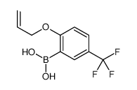 [2-prop-2-enoxy-5-(trifluoromethyl)phenyl]boronic acid结构式