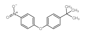 4-nitro-4'-t-butyl diphenyl ether structure
