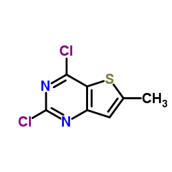 2,4-Dichloro-6-methylthieno[3,2-d]pyrimidine picture