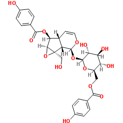 6'-O-对羟基苯甲酰梓苷结构式