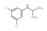 (3,5-二氯苯基)-异丙胺结构式