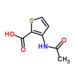 3-Acetamido-2-thiophenecarboxylic acid Structure