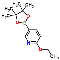 6-乙氧基吡啶-3-硼酸频哪醇酯结构式