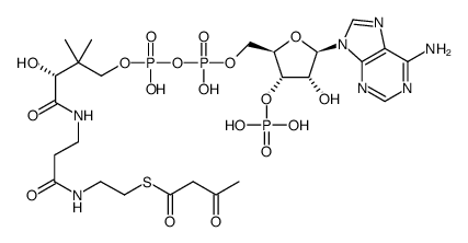 乙酰乙酰辅酶 A 钠盐 水合物结构式