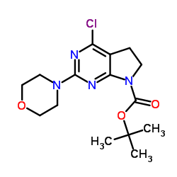 4-氯-2-吗啉-5,6-二氢吡咯并[2,3-D]嘧啶-7-羧酸叔丁酯结构式