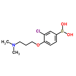 (3-chloro-4-(3-(dimethylamino)propoxy)phenyl)boronic acid Structure