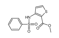 3-(苯基磺酰胺)噻吩-2-羧酸甲酯结构式