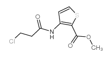 3-[(3-氯丙酰基)氨基]噻吩-2-羧酸甲酯结构式