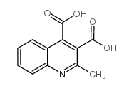 2-methylquinoline-3,4-dicarboxylic acid Structure