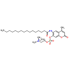 6-十六烷酰基氨基-4-甲基伞形酮基磷酸胆碱结构式
