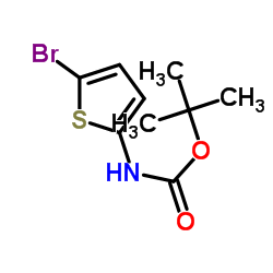 2-Methyl-2-propanyl (5-bromo-2-thienyl)carbamate Structure