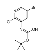 (5-溴-2-氯吡啶-3-基)氨基甲酸叔丁酯图片