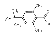 4'-叔丁基-2',6'-二甲基乙酰苯图片