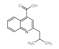 2-Isobutyl-quinoline-4-carboxylic acid Structure