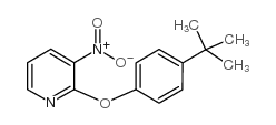 2-[4-(叔丁基)苯氧基]-3-硝基吡啶结构式