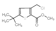 5-叔丁基-3-氯甲基噻吩-2-羧酸甲酯结构式